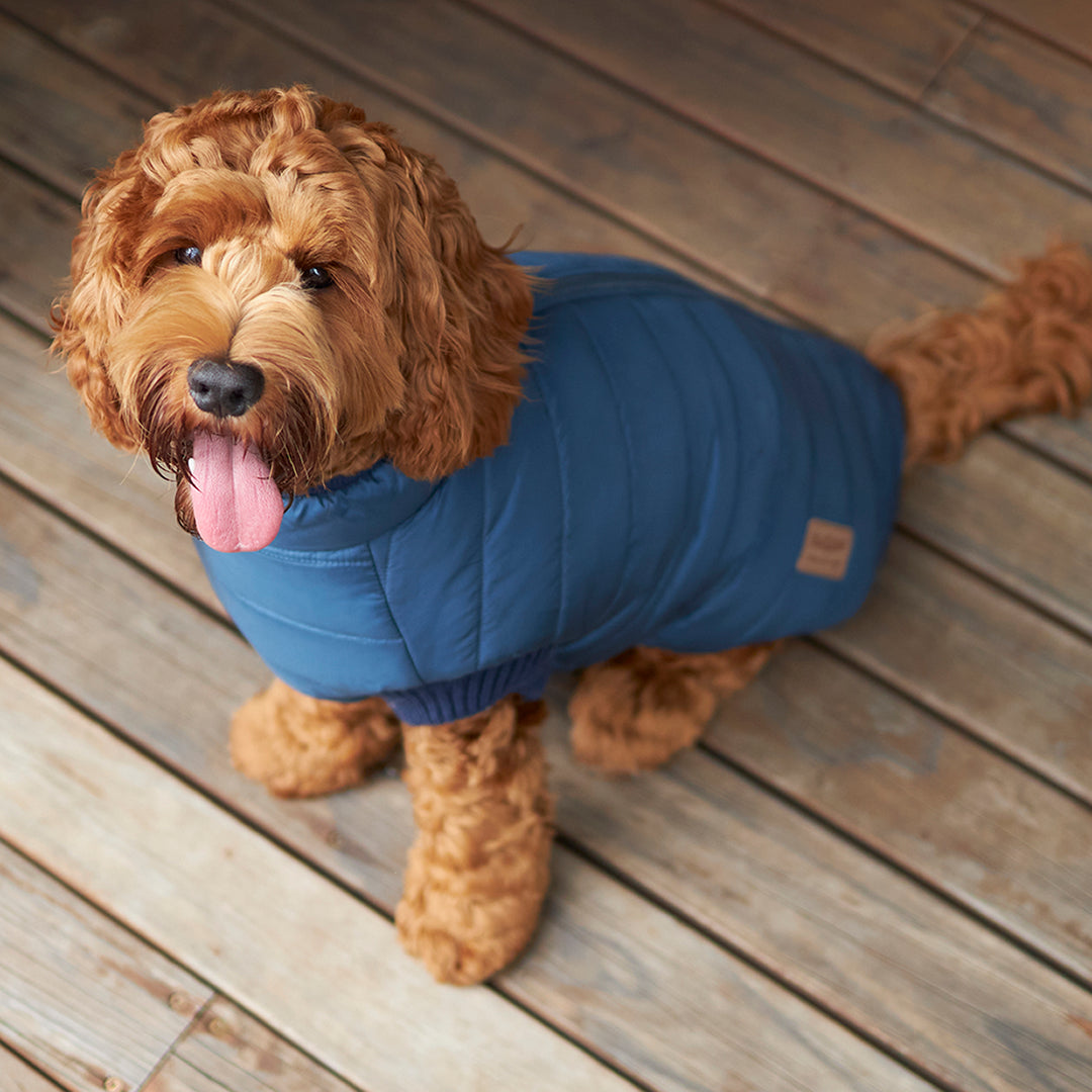 Reversible Puffer Dog Jacket - Blue & Navy