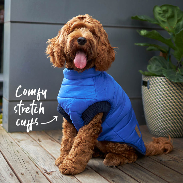 Reversible Puffer Dog Jacket - Blue & Navy