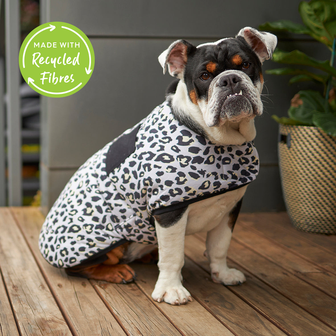 Dog Snuggie s Small Medium Large Sizes Kazoo Pet Co