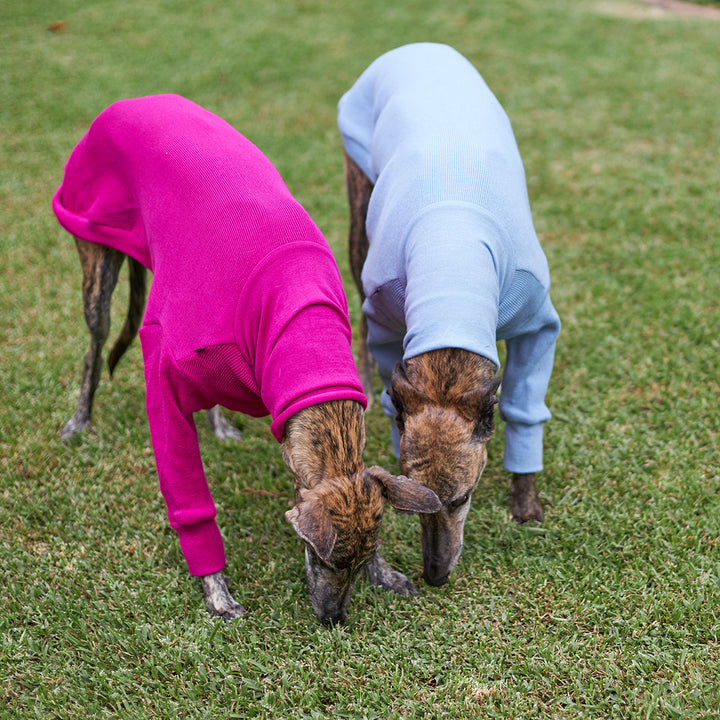 Greyhound Jumper - Kakadu