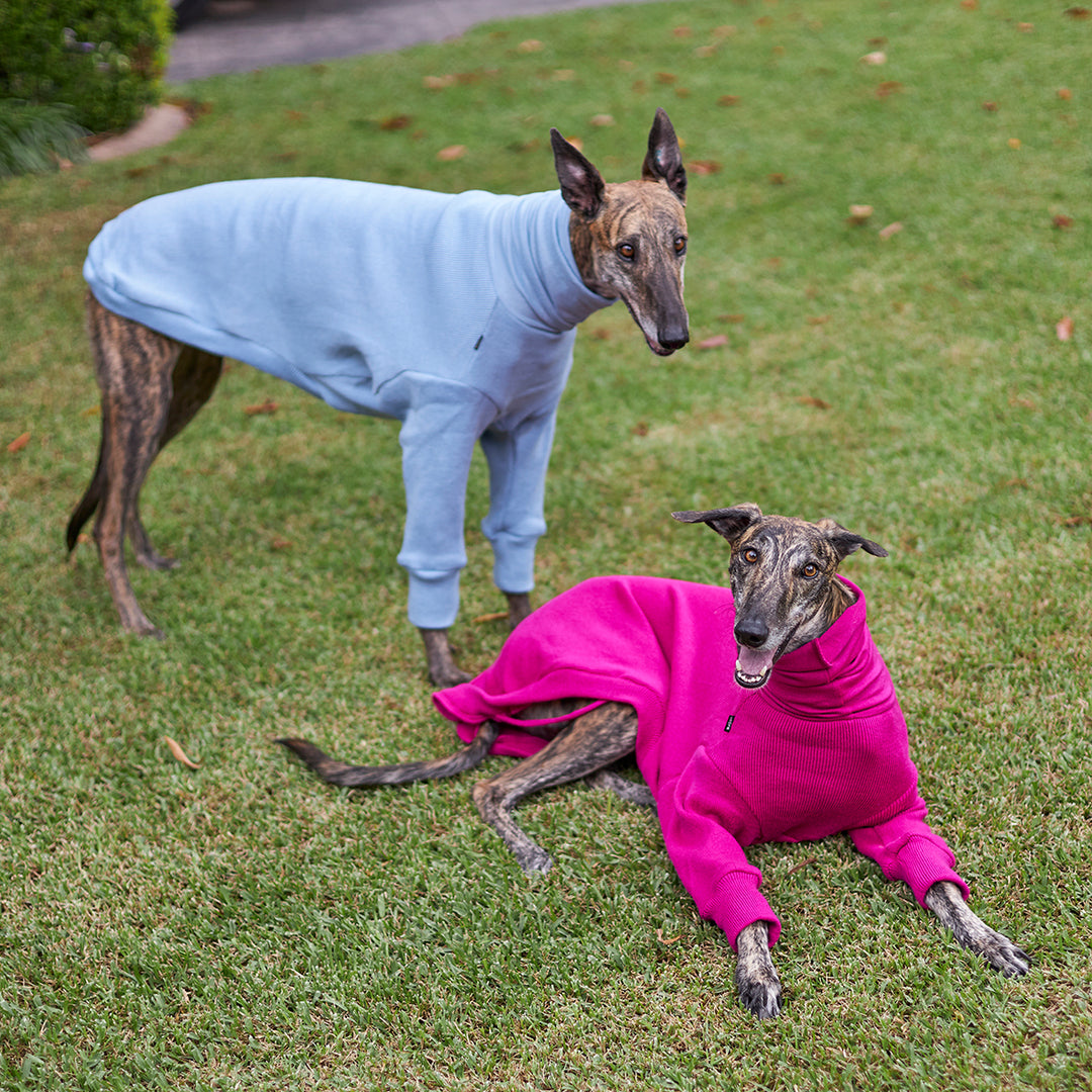 Greyhound Jumper - Kakadu