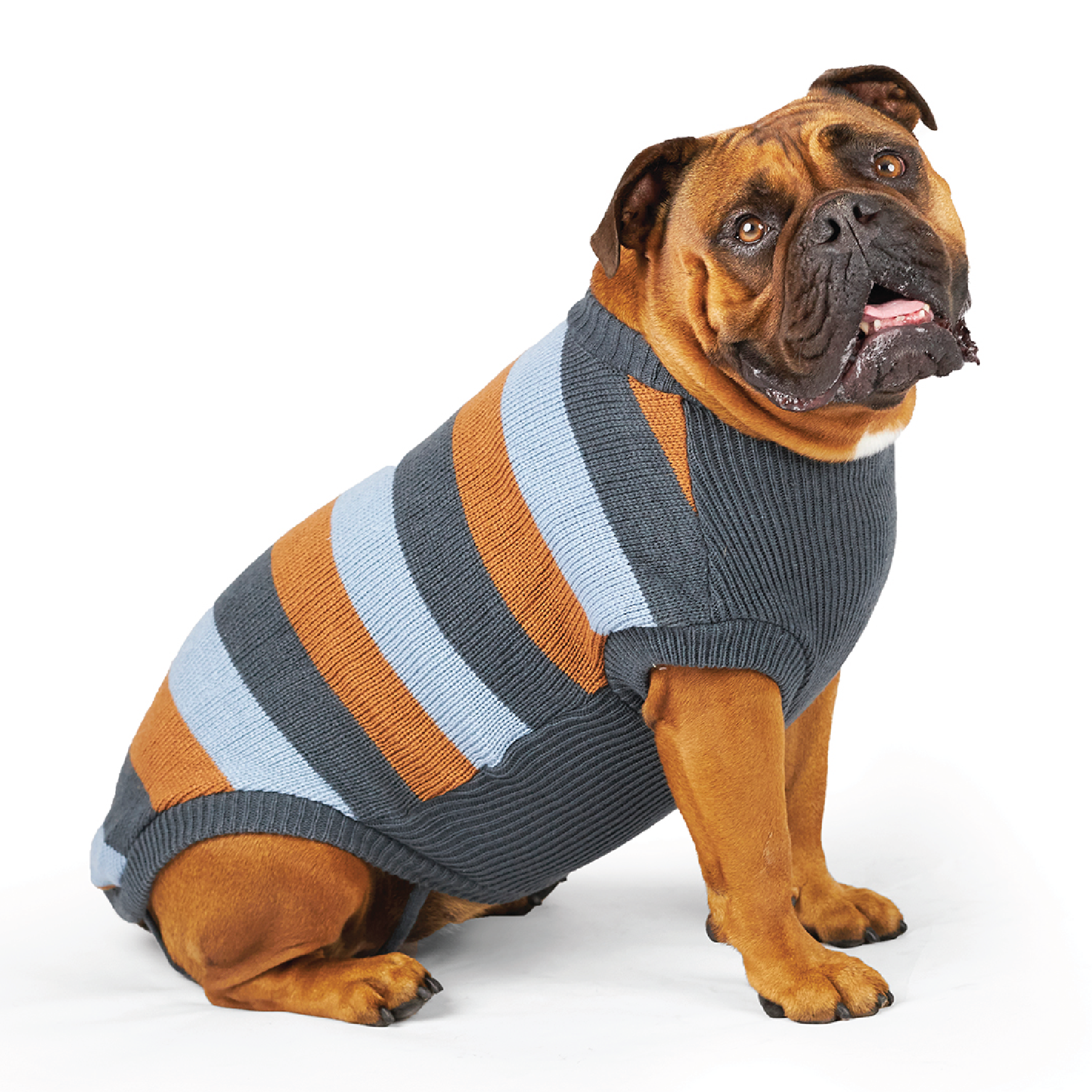 Bumble Dog Jumper Seagrass Kazoo Pet Co