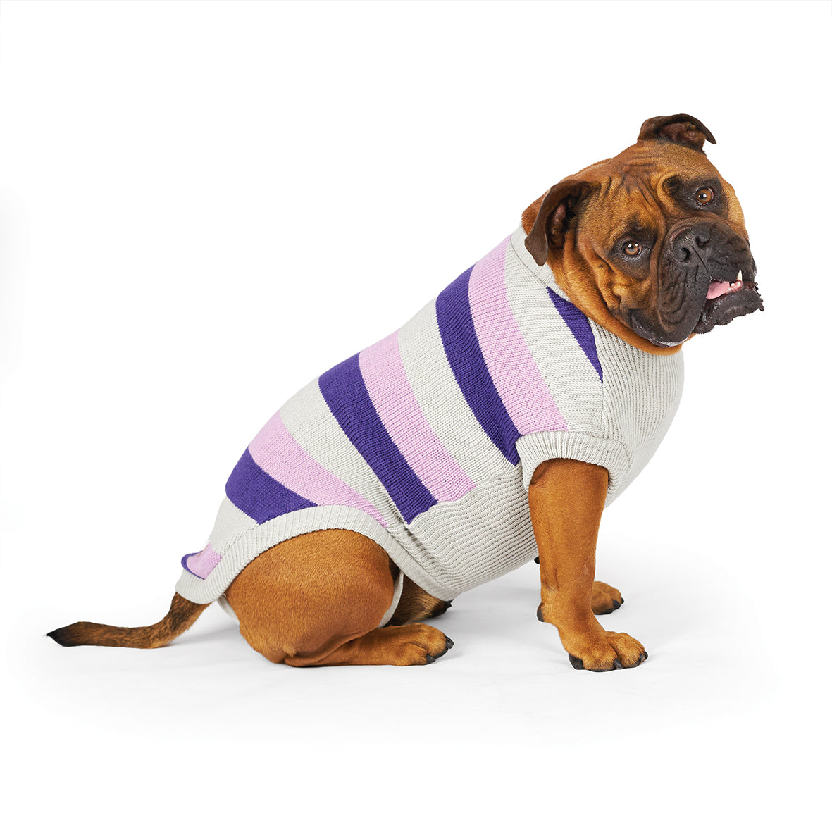 Bumble Dog Jumper Lavender Kazoo Pet Co
