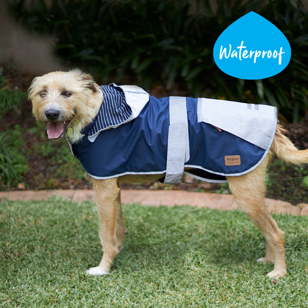Raincoats for dogs hotsell australia