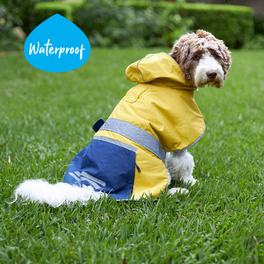 Cosy Dog Rain Coat Mustard Yellow – Kazoo Pet Co