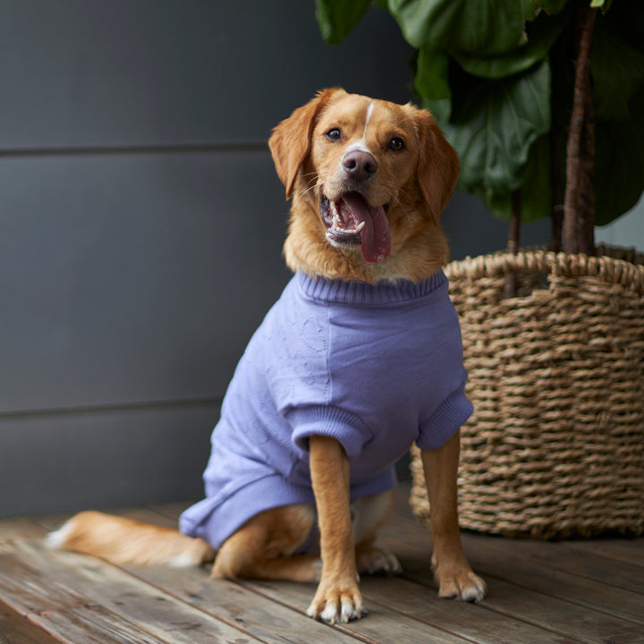 Heart Knit Dog Jumper - Purple