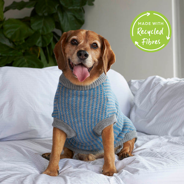Kazoo dog jumper online