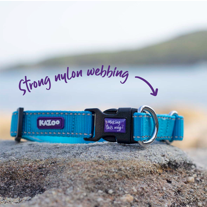 Classic Easy-Clip Dog Collar - Aqua