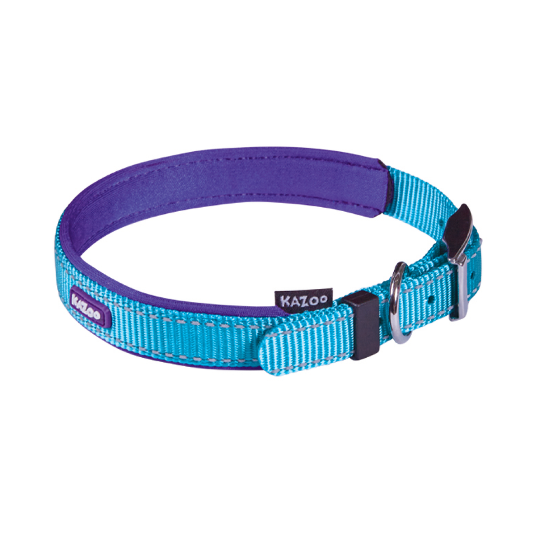 Buckle Dog Collar - Active