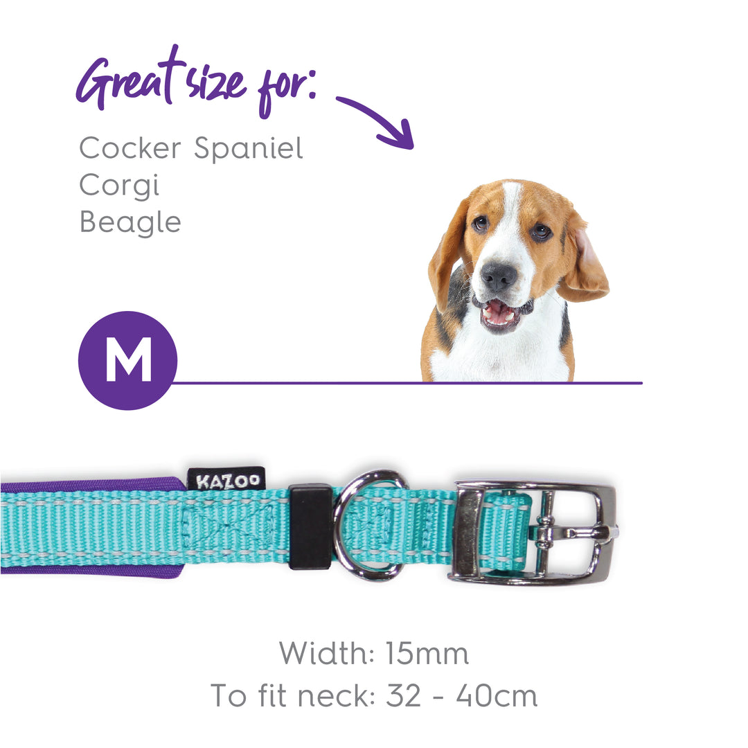 Active Collar - Aqua & Purple - Kazoo Pet Co