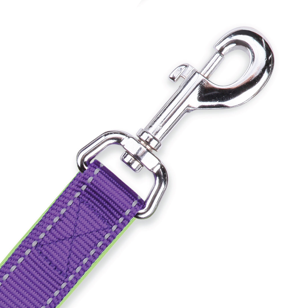 Active Lead - Purple & Lime - Kazoo Pet Co