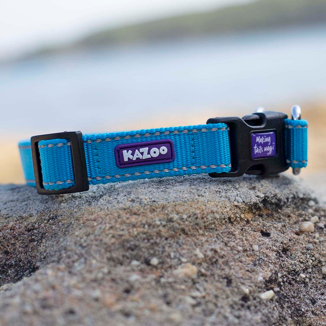 Classic Easy-Clip Dog Collar - Aqua