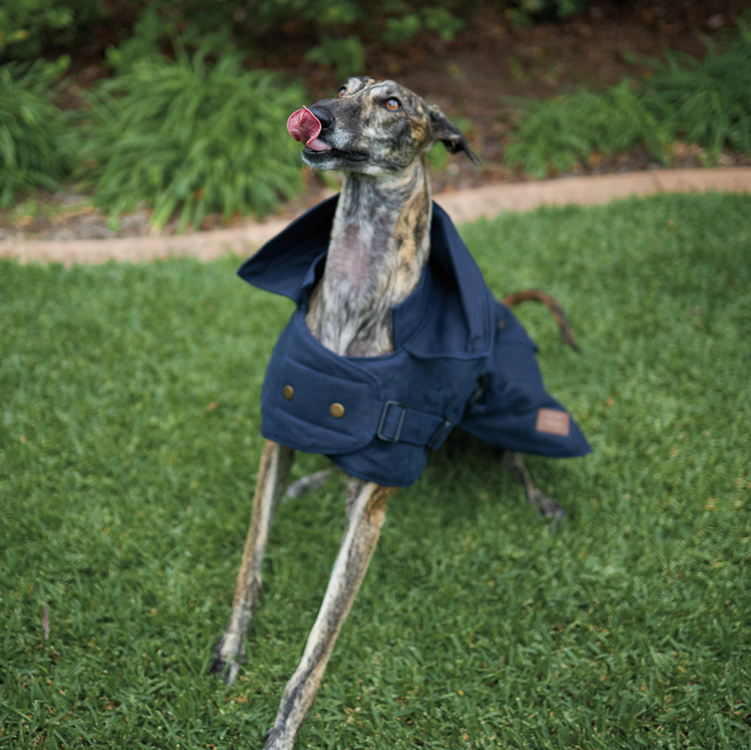 Aussie Oilskin Dog Coat Navy Kazoo Pet Co