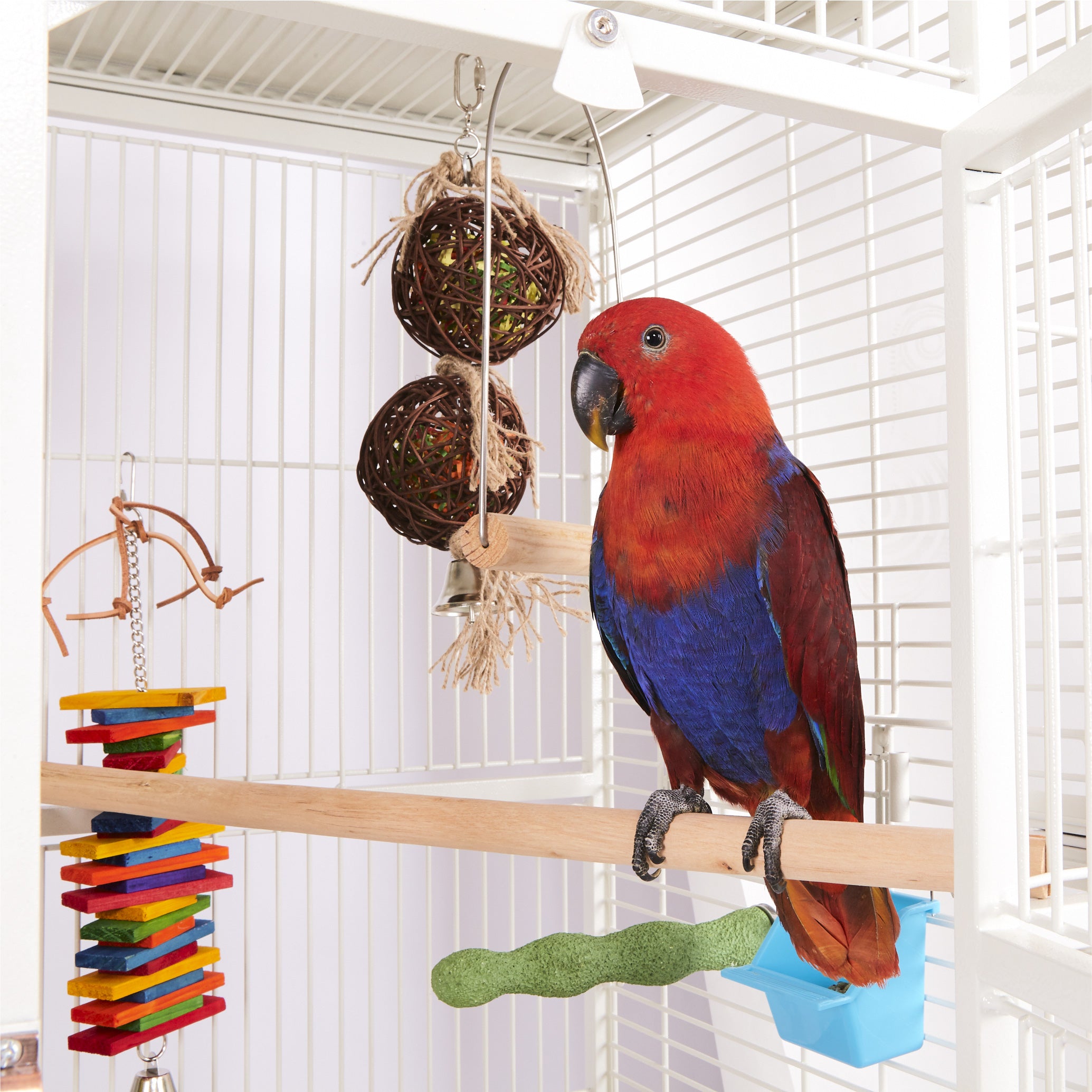 Bird toys best sale