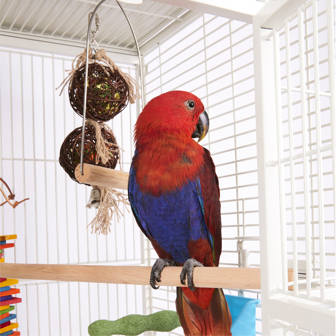 2 Piece Stacked Wicker Ball with Bell - Kazoo Pet Co