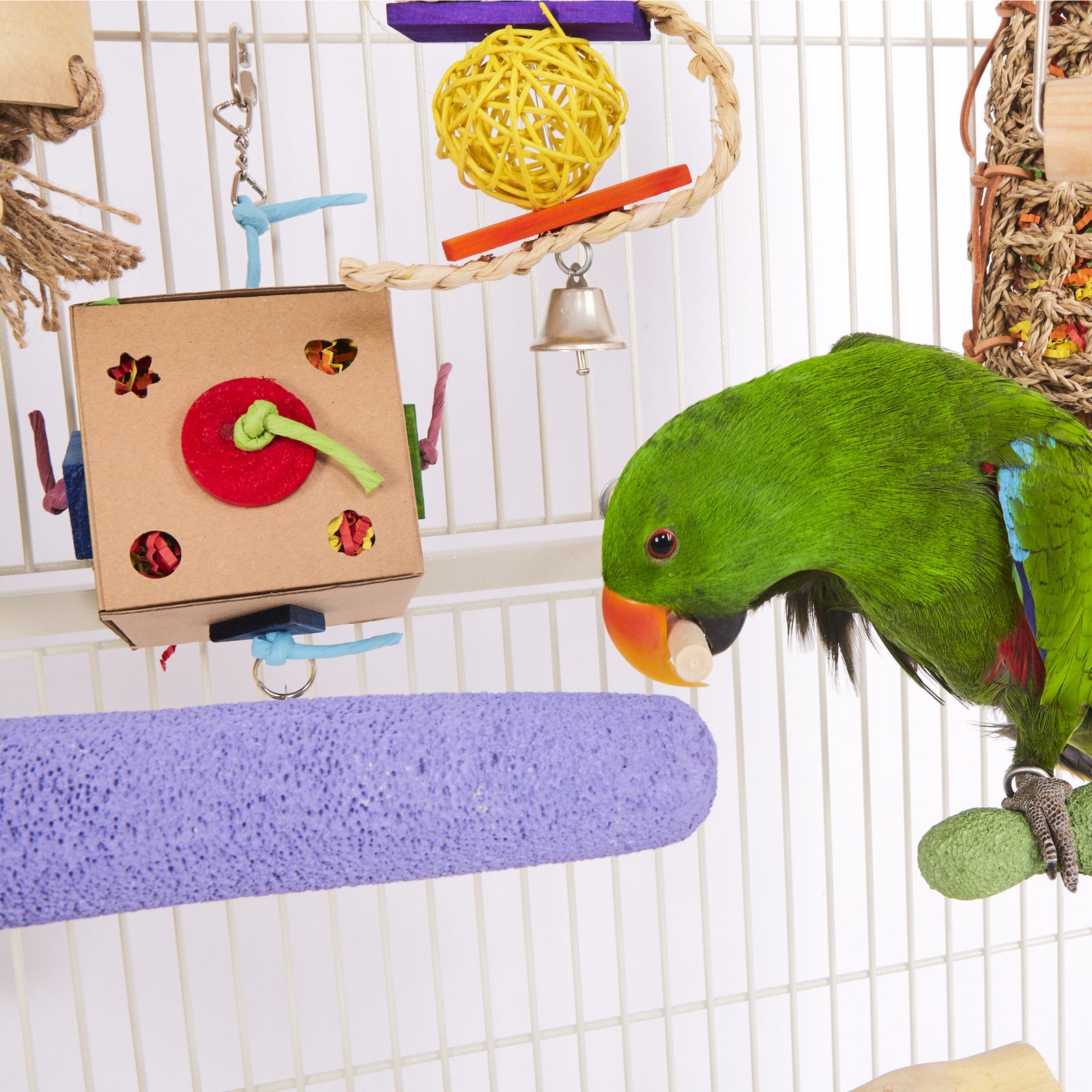 Cardboard Activity Box with Bell - Kazoo Pet Co