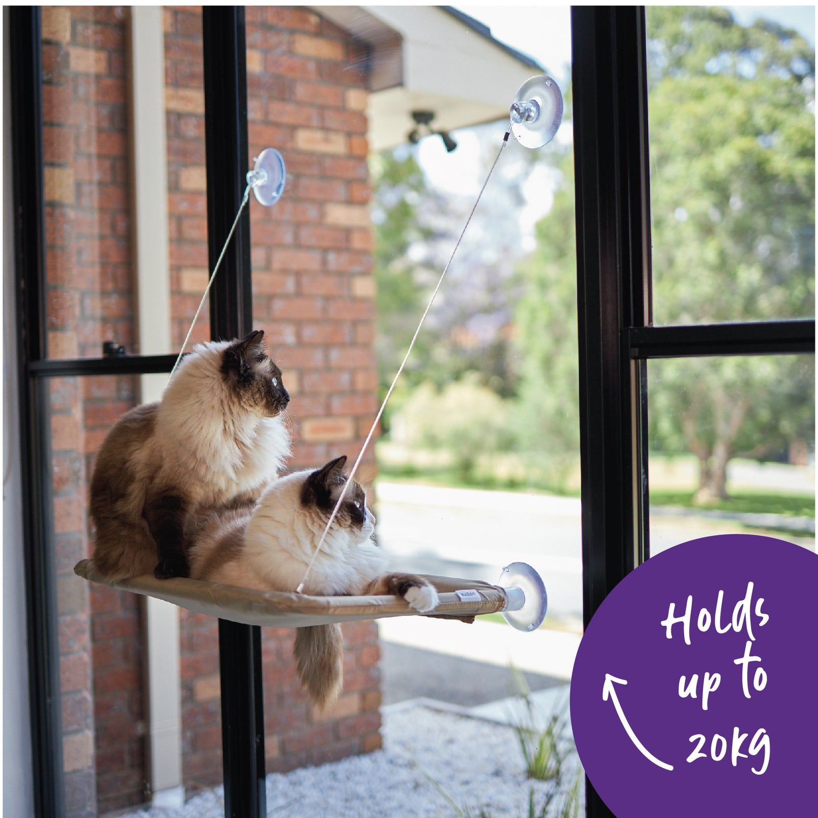 The Lookout Window Cat Bed - Kazoo Pet Co