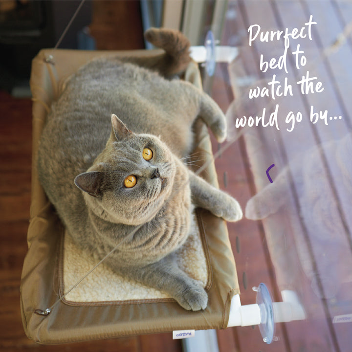 The Lookout Deluxe Window Cat Bed - Kazoo Pet Co