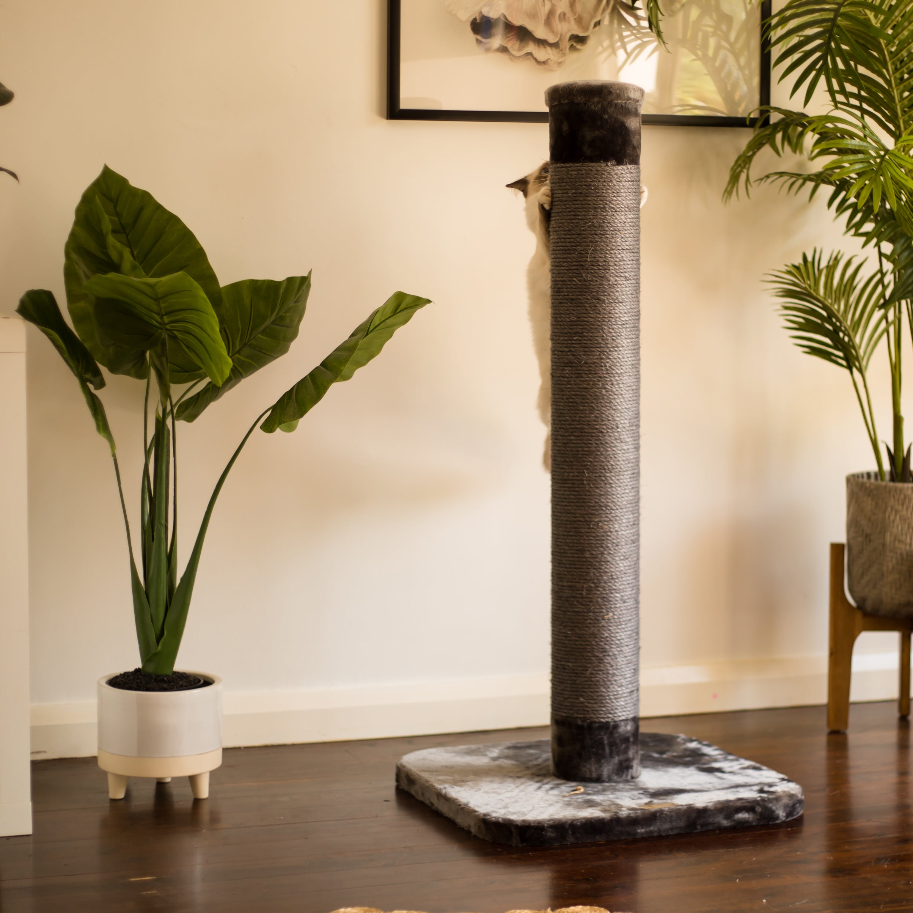 Cat Scratch Post Large Kazoo Pet Co