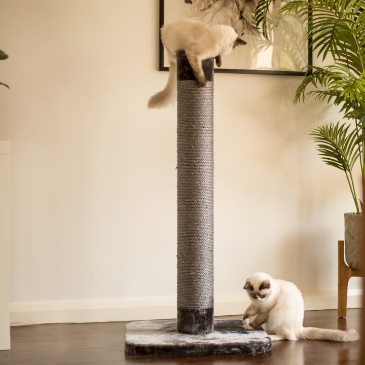 Cat Scratch Post Grey Large – Kazoo Pet Co - Main Image