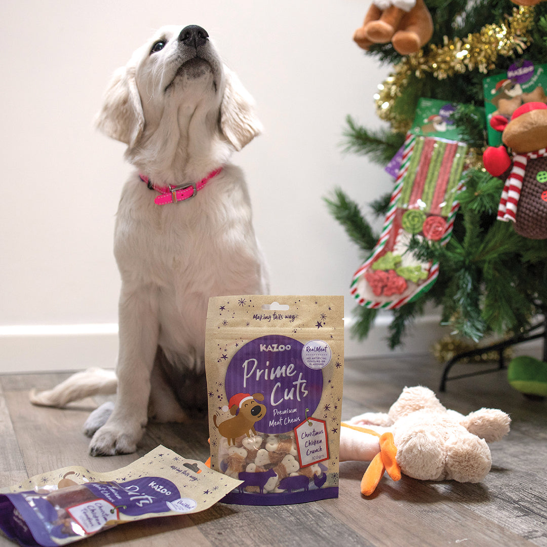 Kazoo Prime Cuts - Christmas Chicken Dog Treats 100g