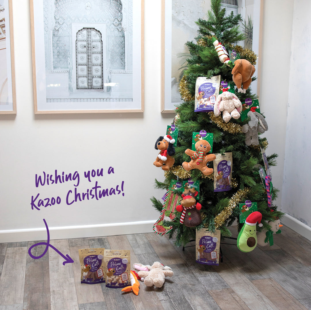 Kazoo Prime Cuts - Christmas Chicken Dog Treats 100g