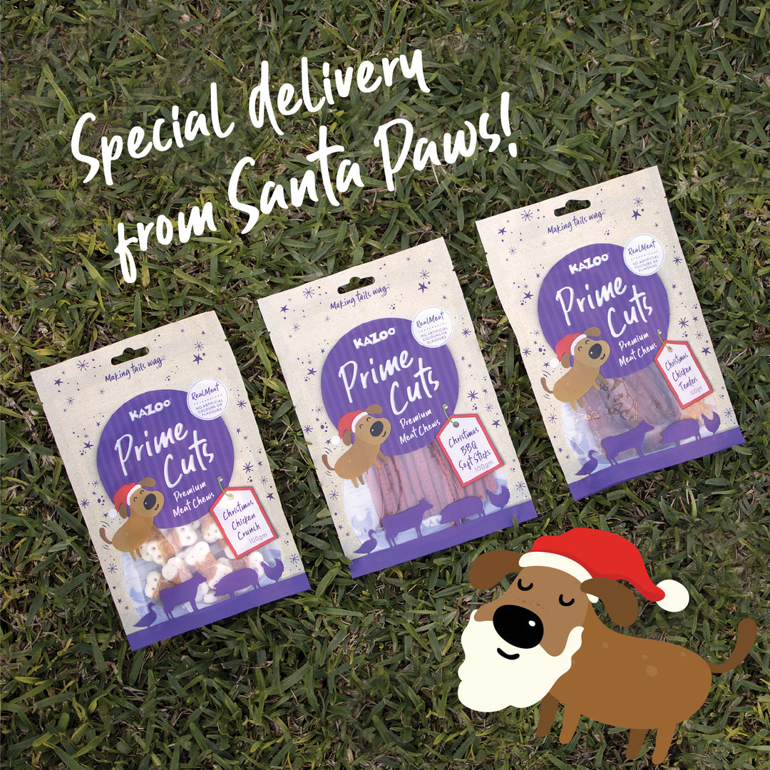Kazoo Prime Cuts - Christmas Chicken Dog Treats 100g