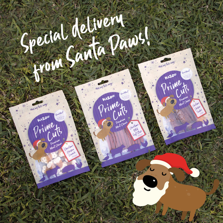 Kazoo Prime Cuts - Christmas Chicken Dog Treats 100g