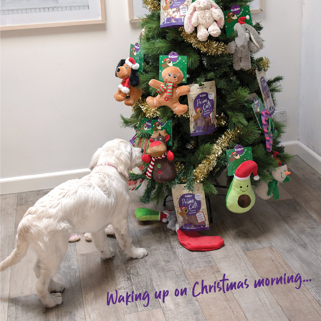 Kazoo Prime Cuts - Christmas Chicken Dog Treats 100g