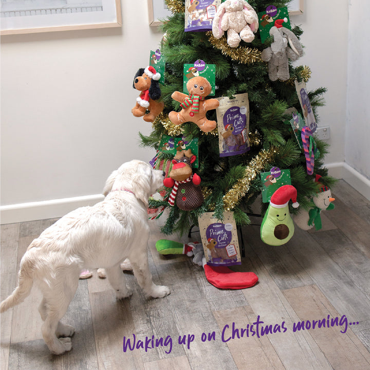 Kazoo Prime Cuts - Christmas Chicken Dog Treats 100g