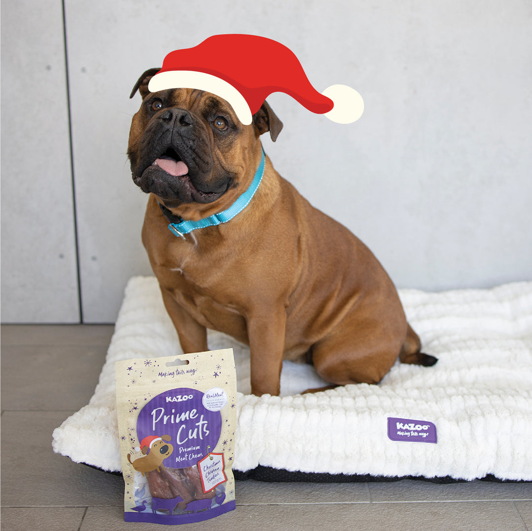 Kazoo Prime Cuts - Christmas Chicken Dog Treats 100g