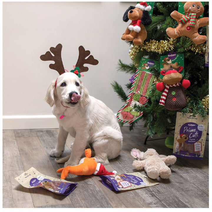 Kazoo Prime Cuts - Christmas Chicken Dog Treats 100g