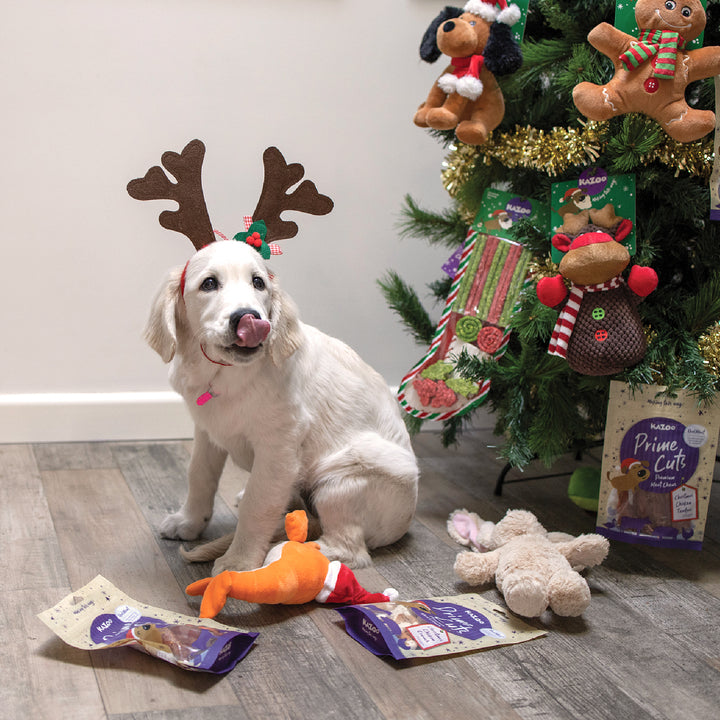 Kazoo Prime Cuts - Christmas Chicken Dog Treats 100g