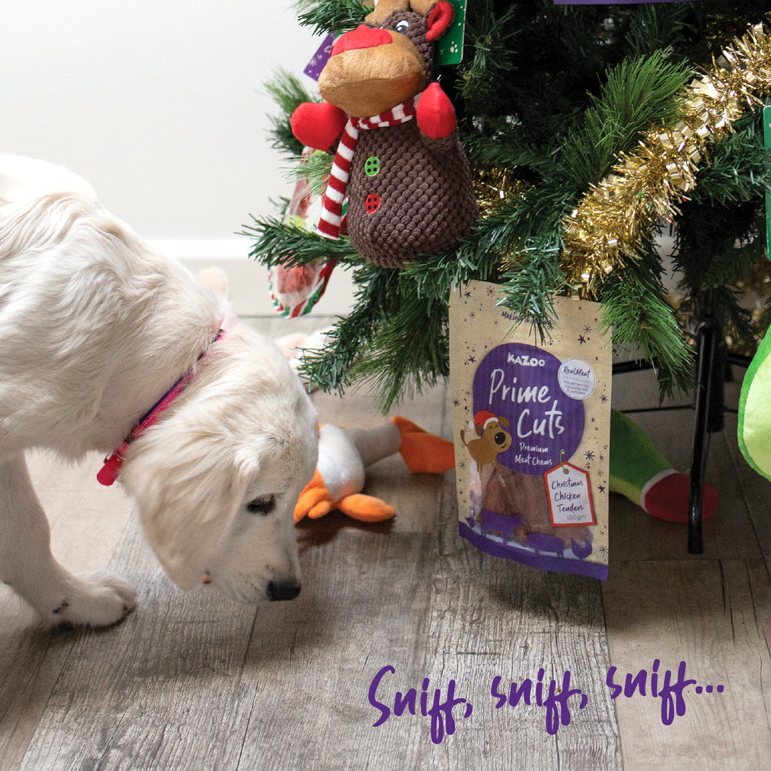 Kazoo Prime Cuts - Christmas Chicken Dog Treats 100g