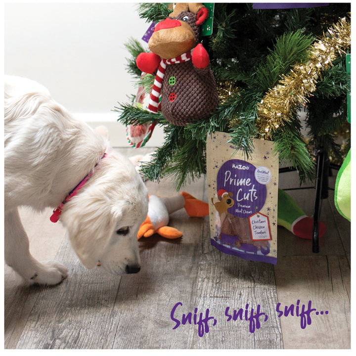 Kazoo Prime Cuts - Christmas Chicken Dog Treats 100g