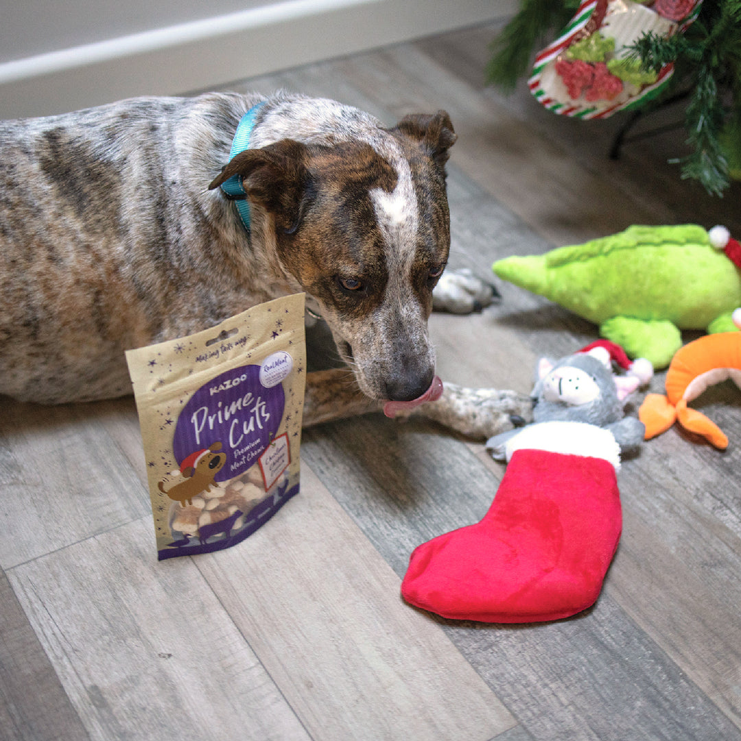 Kazoo Prime Cuts - Christmas Chicken Dog Treats 100g