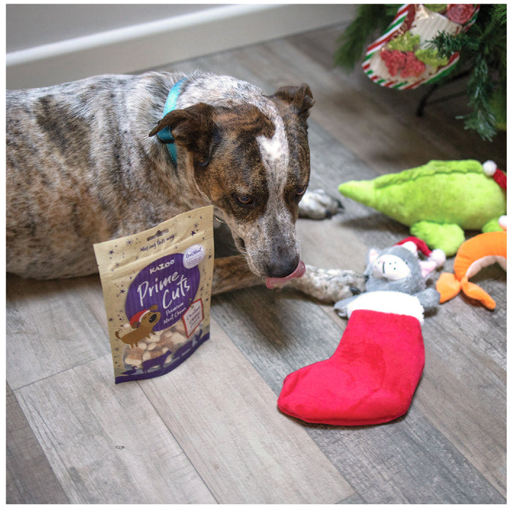 Kazoo Prime Cuts - Christmas Chicken Dog Treats 100g