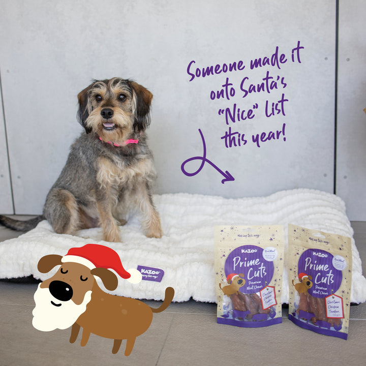 Kazoo Prime Cuts - Christmas Chicken Dog Treats 100g