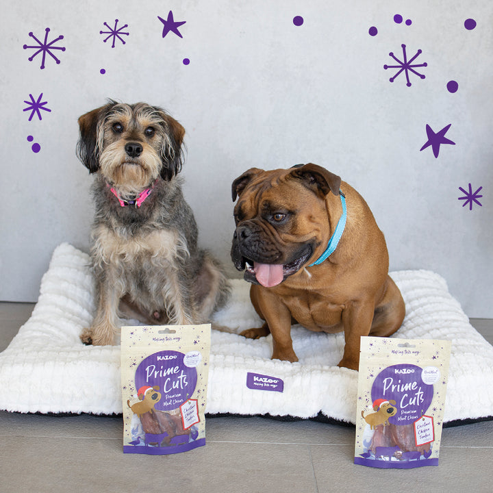 Kazoo Prime Cuts - Christmas Chicken Dog Treats 100g