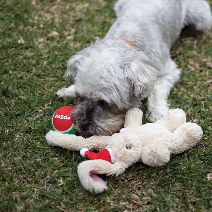 Santa Paws Bounce Dog Ball