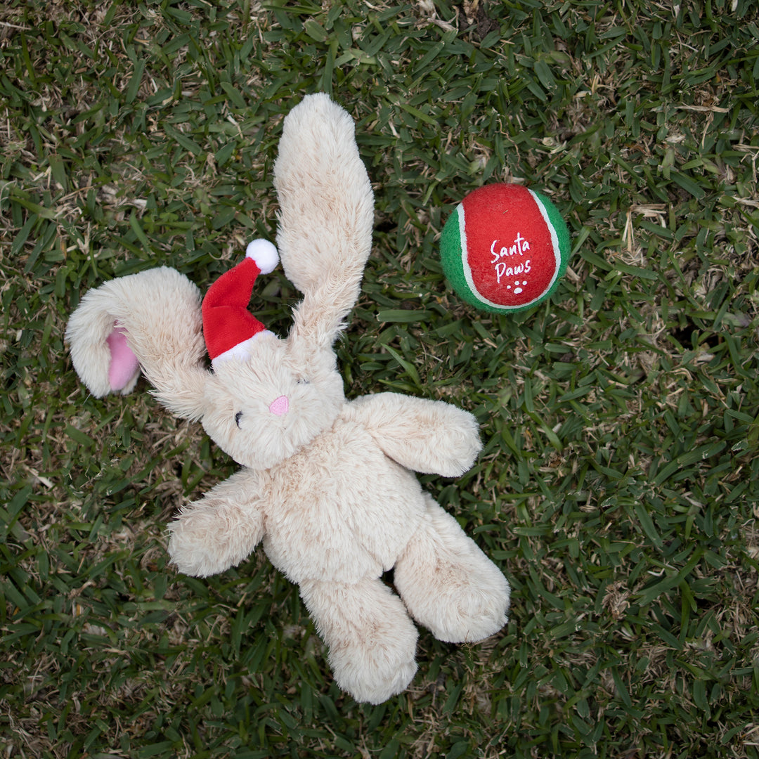 Santa Paws Bounce Dog Ball