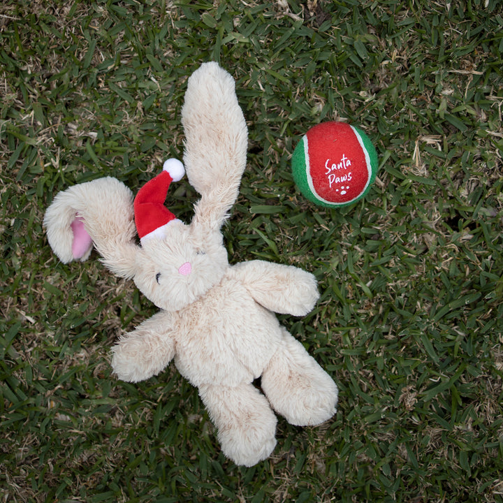 Santa Paws Bounce Dog Ball