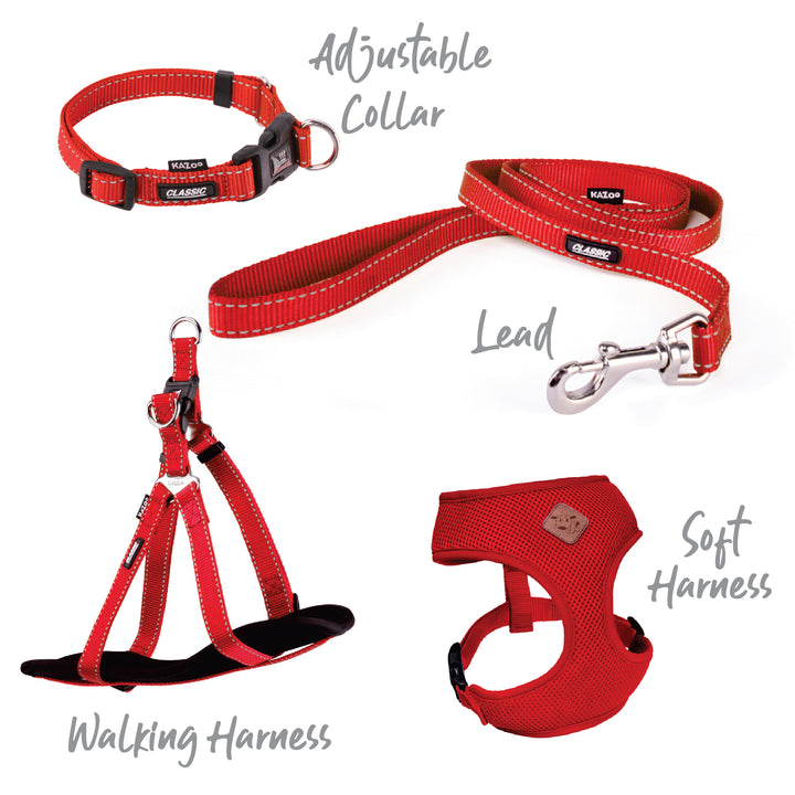 Classic Walking Harness - Red - Kazoo Pet Co