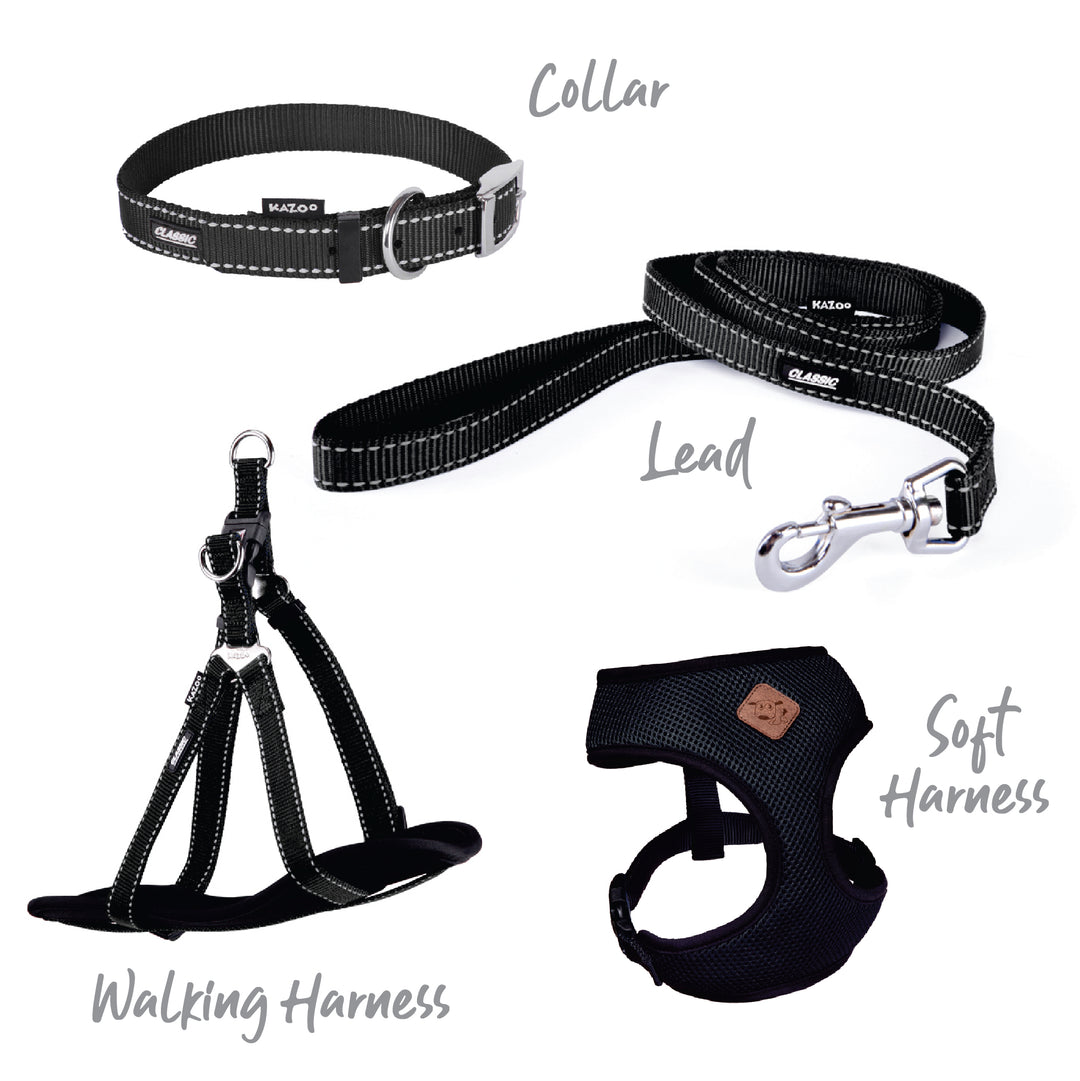 Classic Walking Harness - Black - Kazoo Pet Co