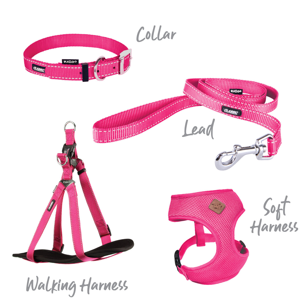 Classic Collar - Pink - Kazoo Pet Co