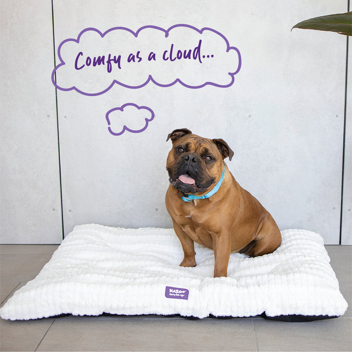 Cloud Cushion Bed - Cream - Kazoo Pet Co