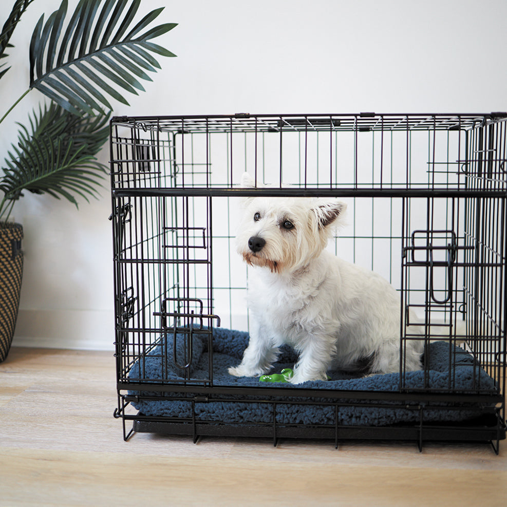 Crate Cushion - Kazoo Pet Co