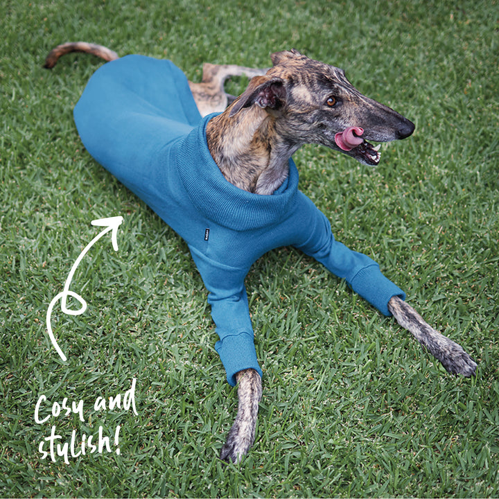 Greyhound Knit - Bondi