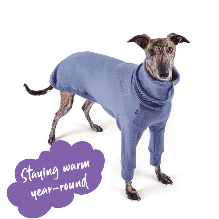 Greyhound Knit - Brighton