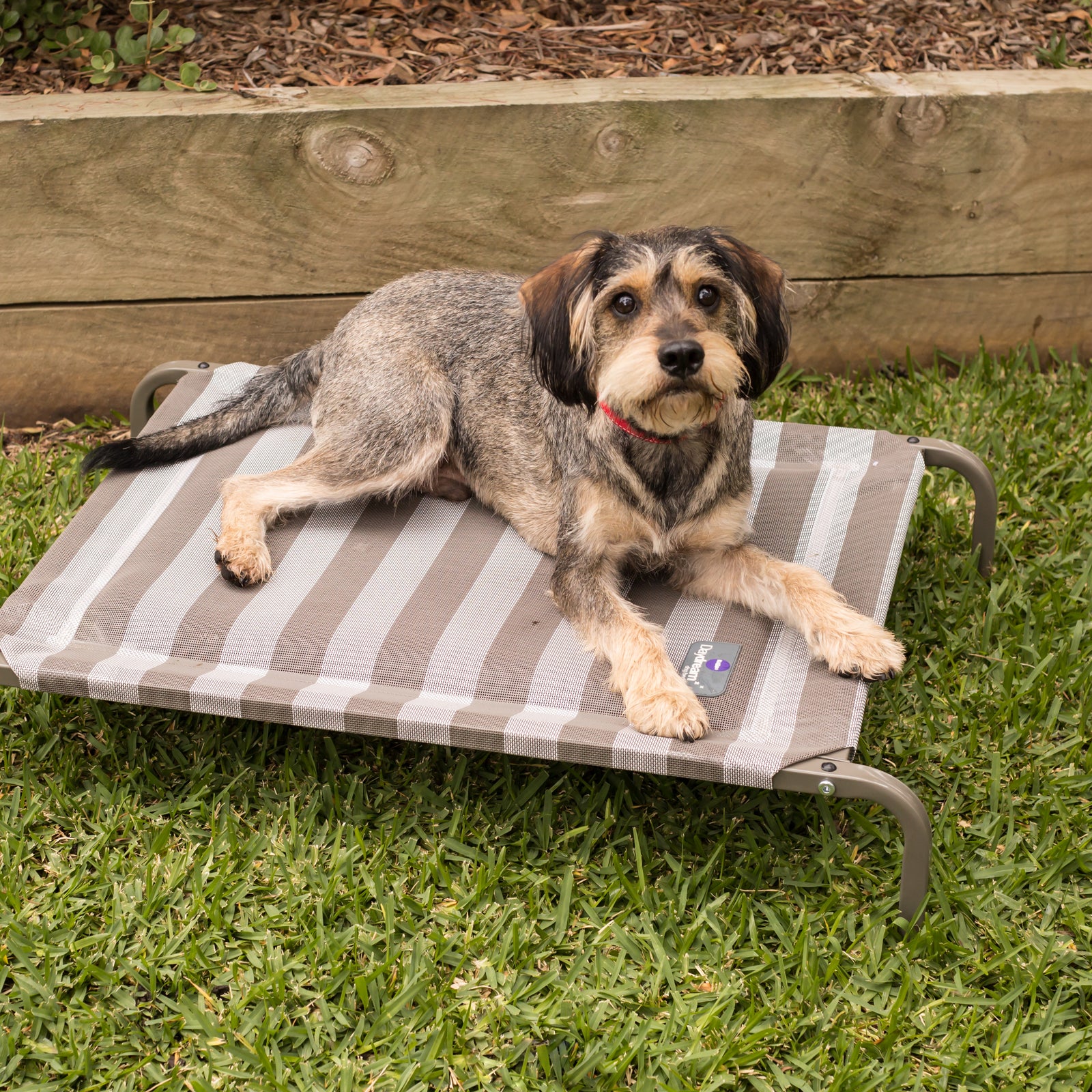 Pillow Top Outdoor Bed - Kazoo Pet Co